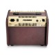 Fishman Loudbox Mini with Bluetooth PRO-LBT-500 Wzmacniacz gitarowy