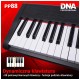DNA PP 88 pianino cyfrowe przenośne, typu Stage Piano